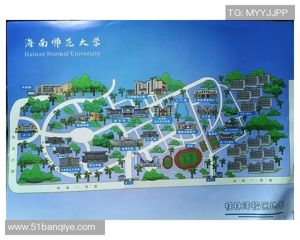 海南师范足球明星崛起之路探秘：从校园到职业赛场的奋斗与荣耀